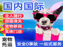 巴彦淖尔机场物流国际宠物托运 【国